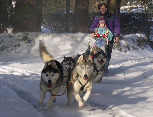 Rando 13 janvier 2010