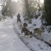 Rando - 13 Janvier 2010