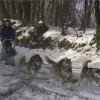 Rando - 13 Janvier 2010