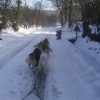 Rando - 13 Janvier 2010