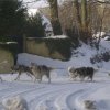 Rando - 13 Janvier 2010