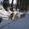 Rando - 13 Janvier 2010