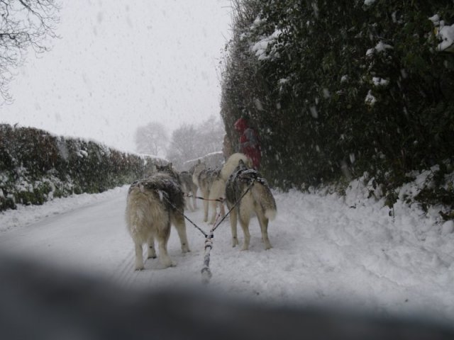 19 décembre 2010