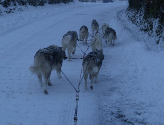 19 décembre 2010