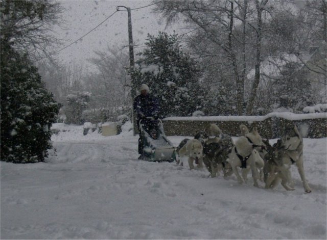 19 décembre 2010