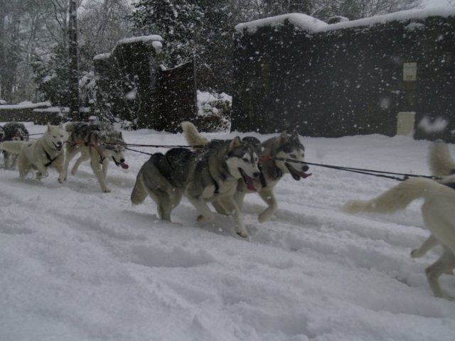 19 décembre 2010