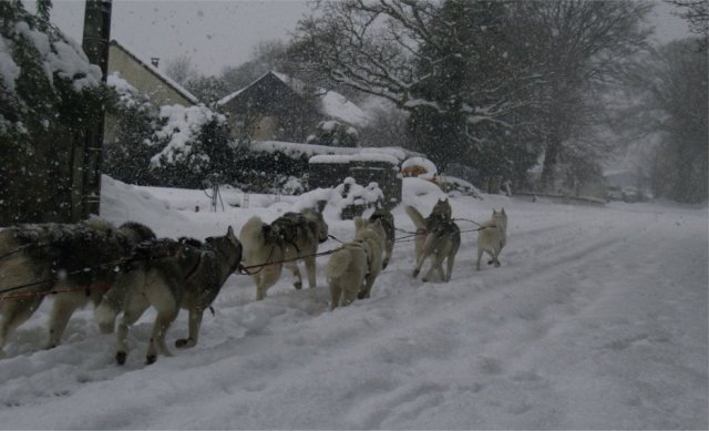 19 décembre 2010