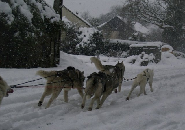 19 décembre 2010