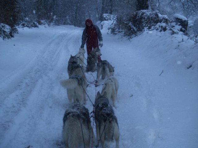 19 décembre 2010
