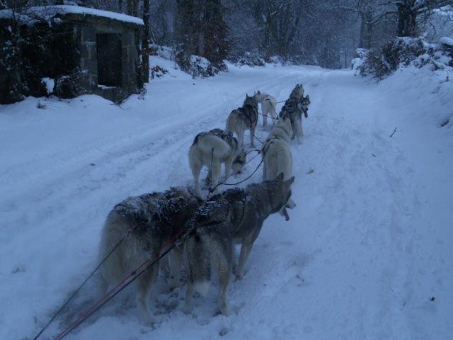 19 décembre 2010