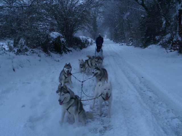 19 décembre 2010