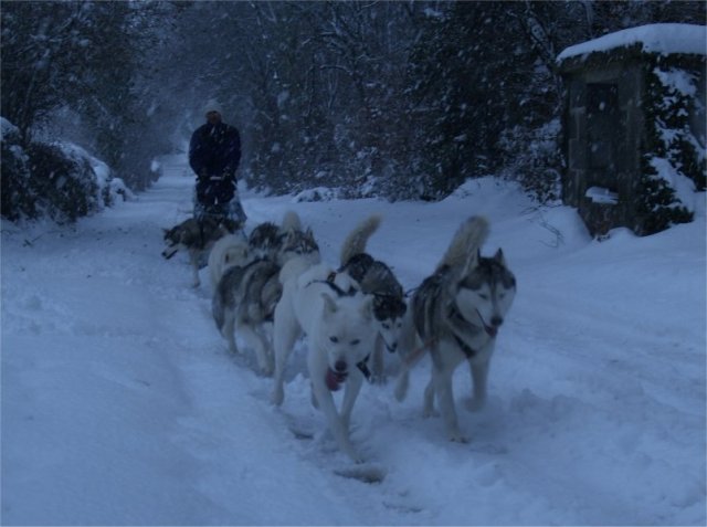 19 décembre 2010