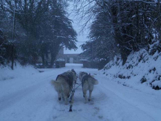19 décembre 2010