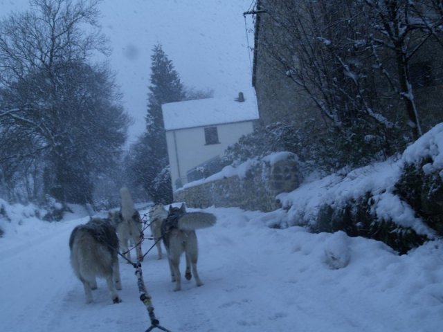 19 décembre 2010