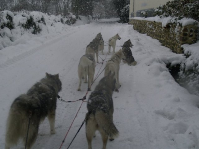 19 décembre 2010