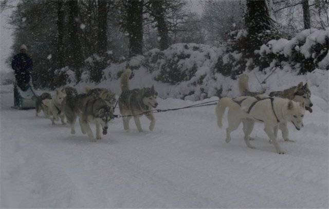 19 décembre 2010