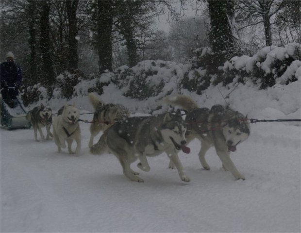 19 décembre 2010