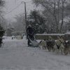 19 décembre 2010