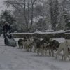 19 décembre 2010