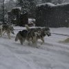 19 décembre 2010