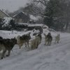 19 décembre 2010