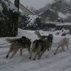 19 décembre 2010