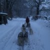 19 décembre 2010