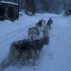 19 décembre 2010