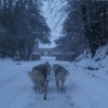 19 décembre 2010