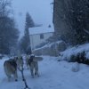 19 décembre 2010