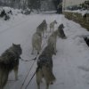 19 décembre 2010