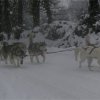 19 décembre 2010
