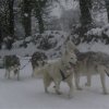 19 décembre 2010