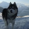 3 Liubov's dans les Hautes-Pyrénées.