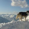 3 Liubov's dans les Hautes-Pyrénées.