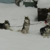 3 Liubov en Hautes-Pyrénées.