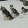 3 Liubov's dans les Hautes-Pyrénées.