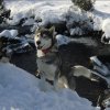 3 Liubov's dans les Hautes-Pyrénées.