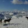 3 Liubov's dans les Hautes-Pyrénées.