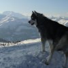 3 Liubov's dans les Hautes-Pyrénées.