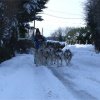 Rando - 6 au 20 Janvier 2010