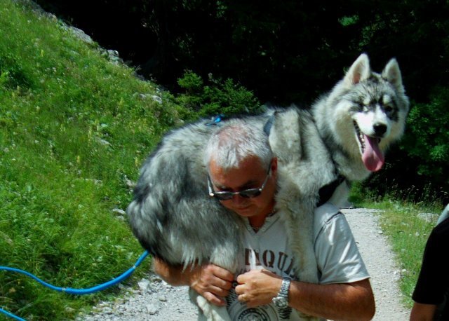 Crypton et Polaire