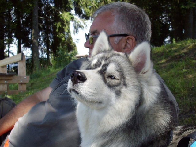 Crypton et Polaire