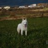 Descendance Liubov Russie