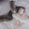 Descendance Liubov Russie