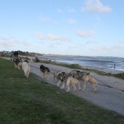 Entraînement 19 janv 2020