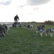 Entraînement 19 janv 2020