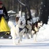 Flocon de Neige - 1er compète