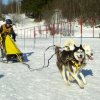 Flocon sprint 02 2012