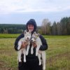 Haurole et Hetoile en Russie